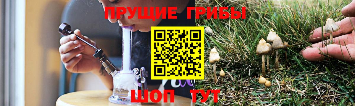 Рубцовск  Псилоцибиновые грибы GOLDEN TEACHER  Вход с VPN 