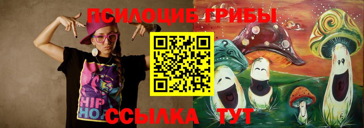 Галлюциногенные грибы Psilocybine cubensis Рубцовск